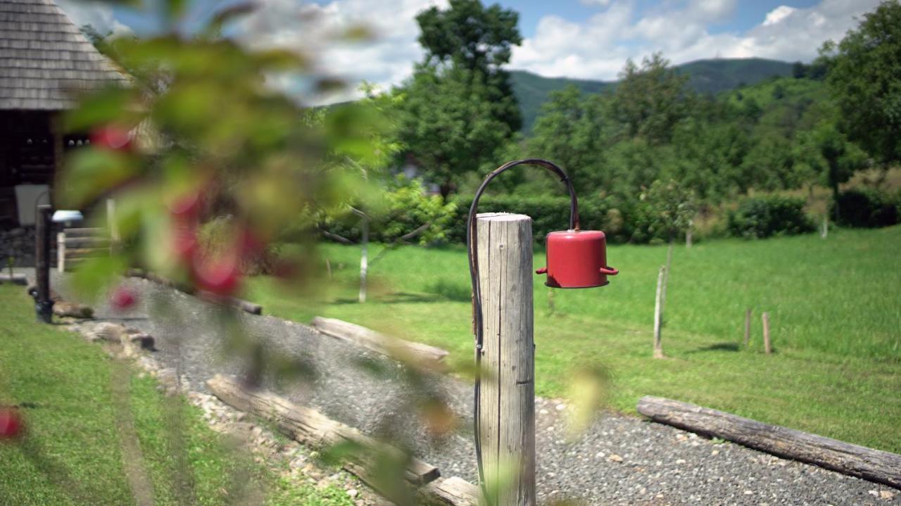 Iz De Maramures Rural Hotel (Adults Only) Surdesti  Bagian luar foto