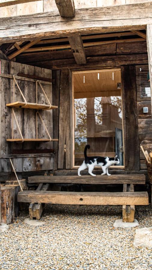 Iz De Maramures Rural Hotel (Adults Only) Surdesti  Bagian luar foto
